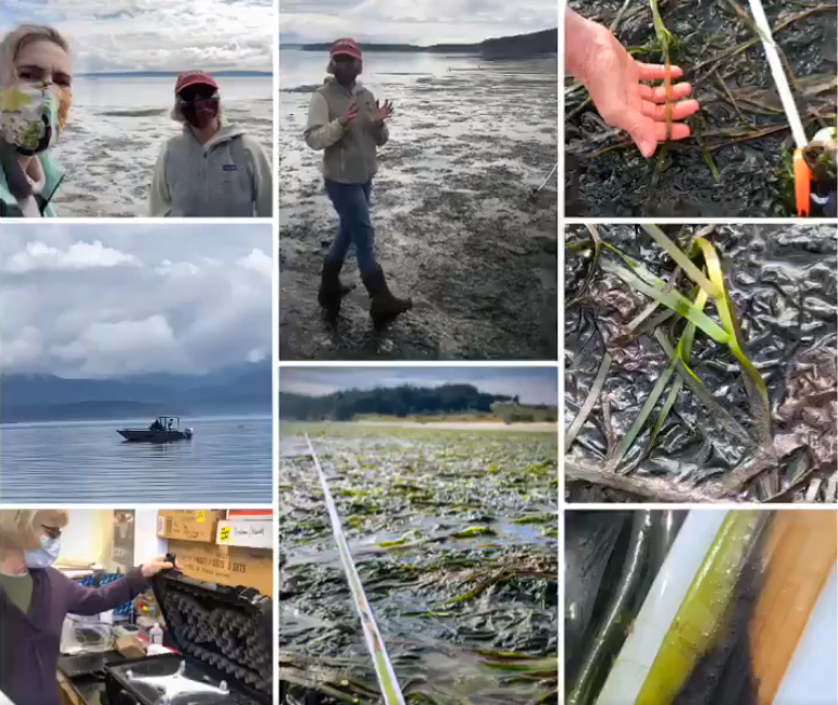 Citizen Science GIS Uses Remote Drone Mapping In Response To COVID-19