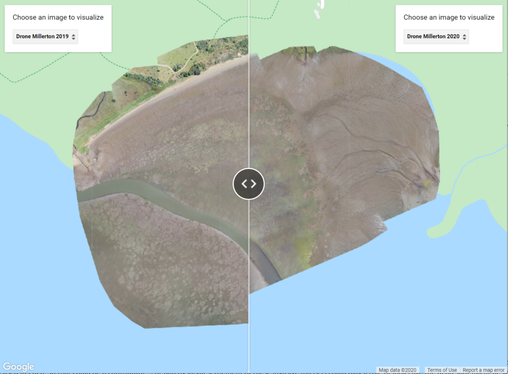 NSF Drone Mapping Finds A Change Of Eelgrass Bed In Spatial Extent And Patchiness