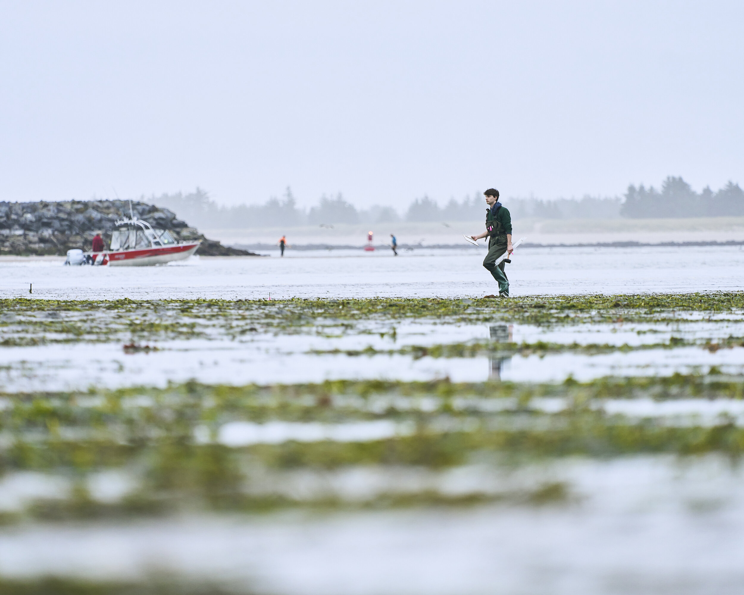 Team Completes First Set Of Data Collection For NSF Smithsonian Eelgrass Research