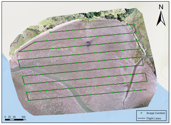 UAV Training Program for Seagrass Monitoring Top-Viewed Drone Research