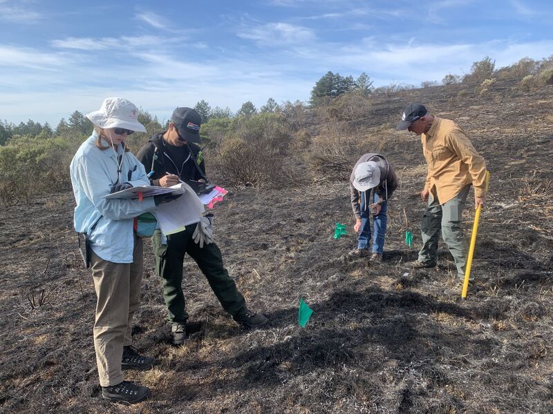 [Post] Exploring Ecological Impact SJSU GIS & Drone Society's Collaborative Efforts