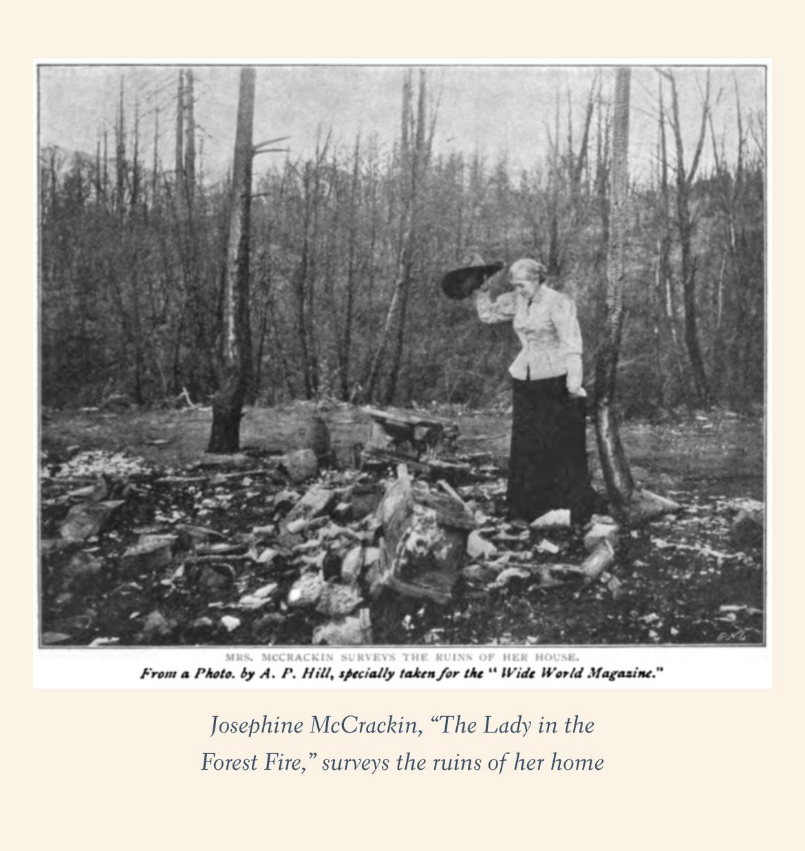 Aerial photograph of Santa Cruz Mountains